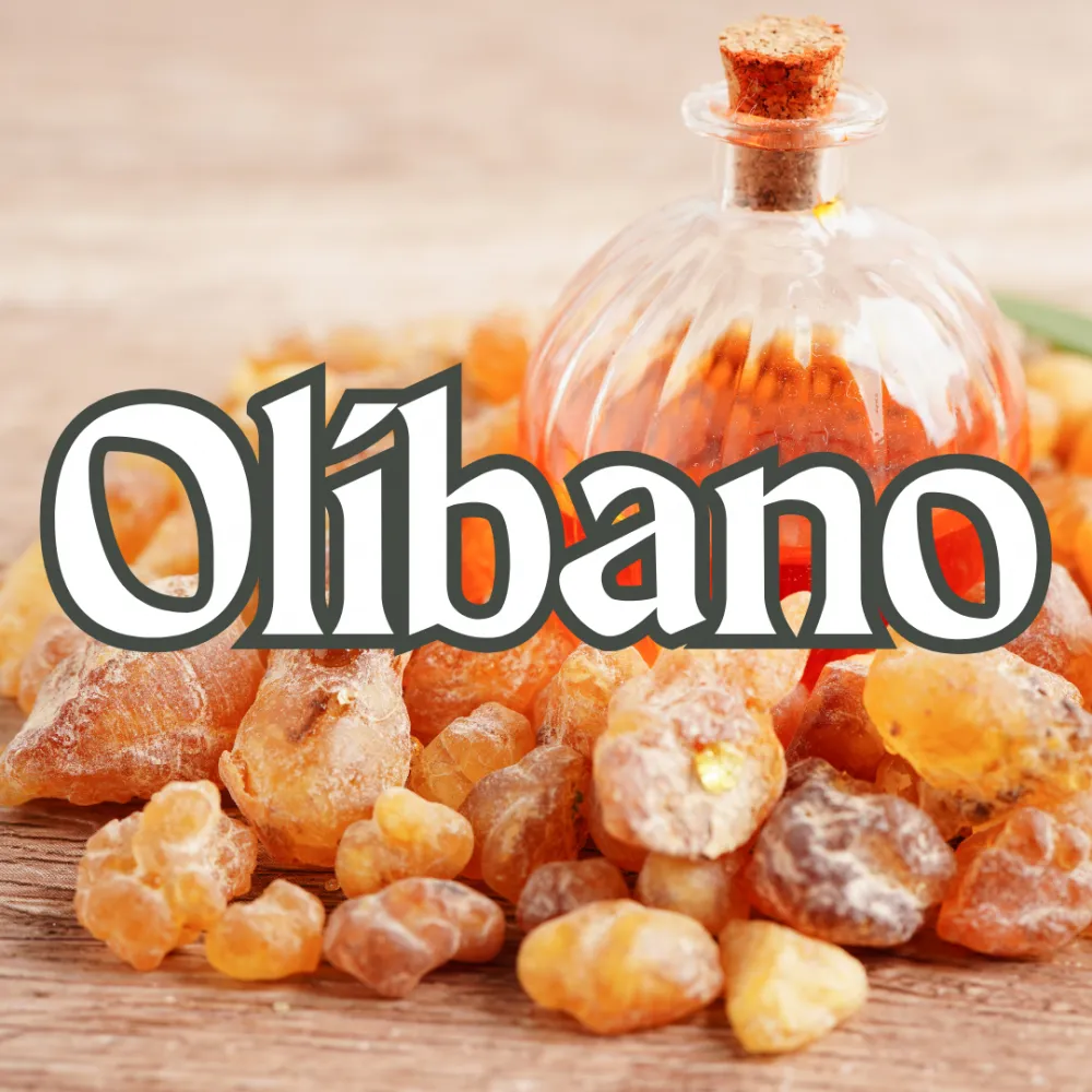 Olíbano 