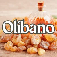 Olíbano 