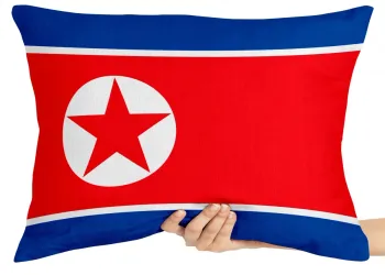 Almofada Gigante para sofá puff sala bandeira Coreia do Norte