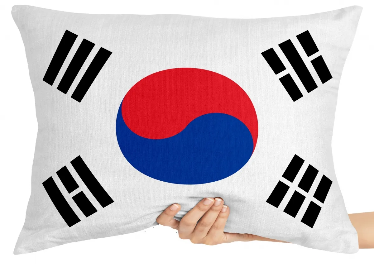 Almofada Gigante para sofá puff sala bandeira Coreia do sul asia Imagem