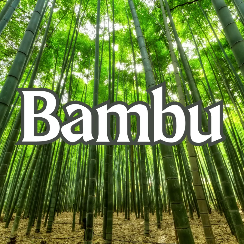 Bambu