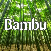 Bambu