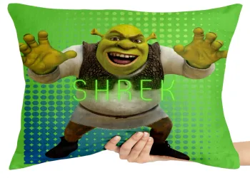 Almofada Gigante para sofá puff sala Shrek Ogro