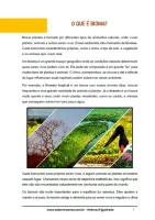 318 - Ciências - Biomas Brasileiros - O que é Bioma? - 5º ano - PDF com 13 páginas - Foto 2