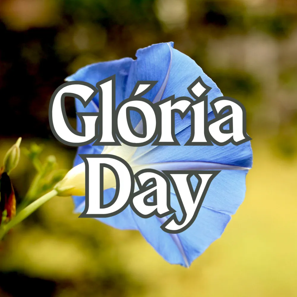 Gloria Day