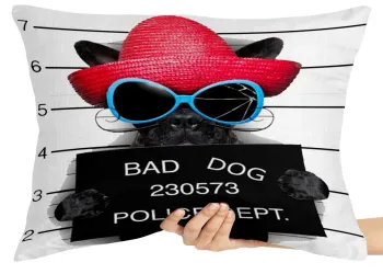 Almofada Gigante para sofá puff sala Bad Dog cachorro cão Police Dept