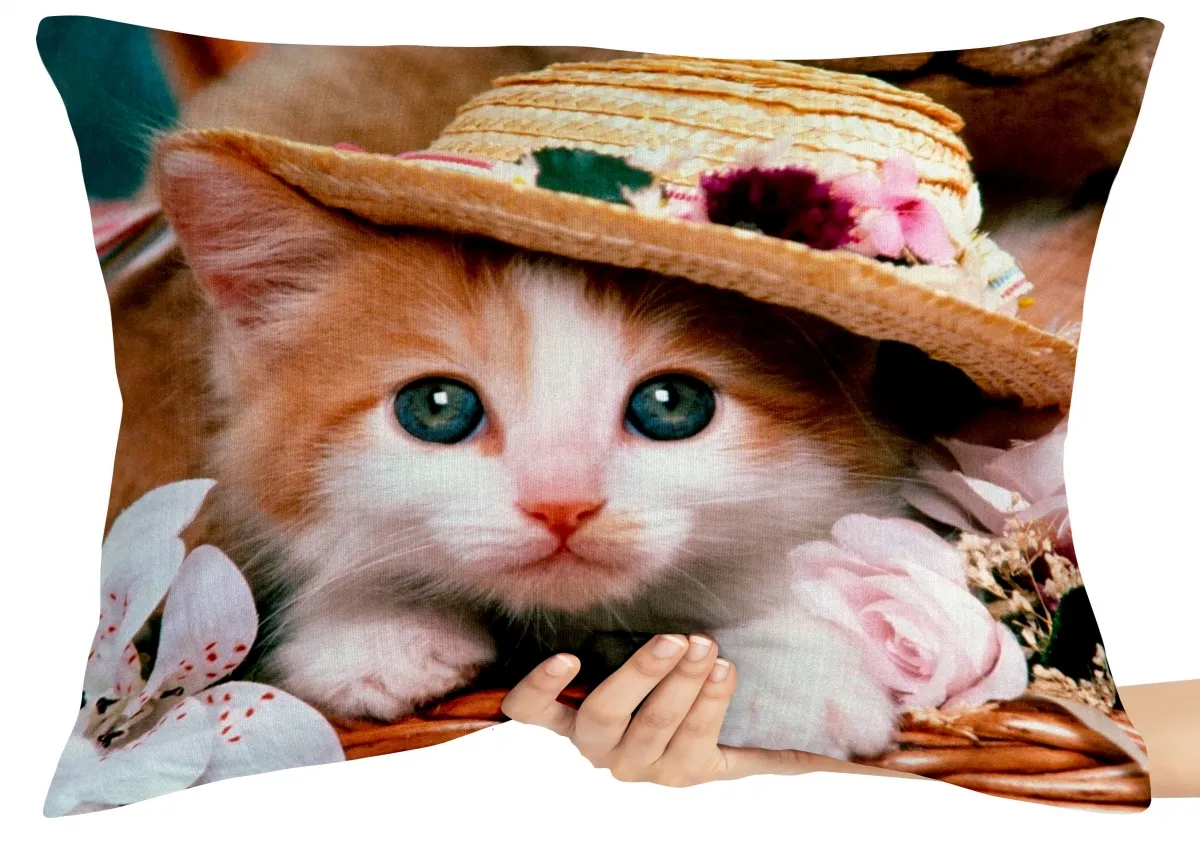 Almofada Gigante para sofá puff sala Gatos gato filhote cat