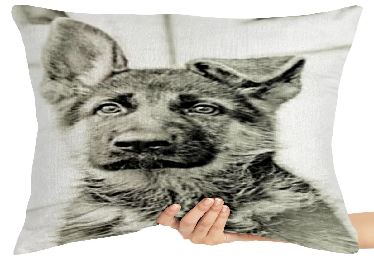 Almofada Gigante para sofá puff sala Pastor Alemão cachorro dog