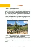 320 - Ciências - Biomas Brasileiros - Caatinga - 5º ano - PDF com 10 páginas - Foto 2