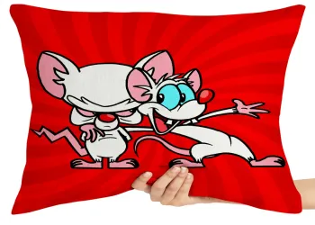 Almofada Gigante para sofá puff sala Pink e o Cérebro vermelho