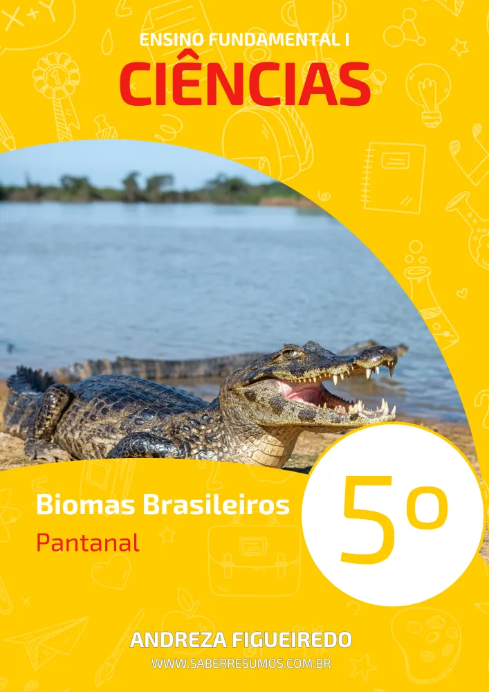 323 - Ciências - Biomas Brasileiros - Pantanal - 5º ano - PDF com 13 páginas Imagem
