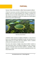 323 - Ciências - Biomas Brasileiros - Pantanal - 5º ano - PDF com 13 páginas - Foto 2