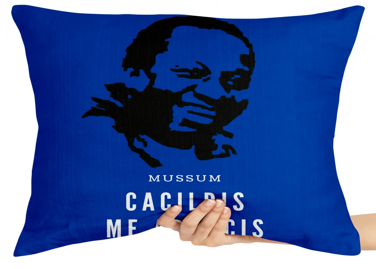 Almofada Gigante para sofá puff sala Mussum Cacildis Imagem