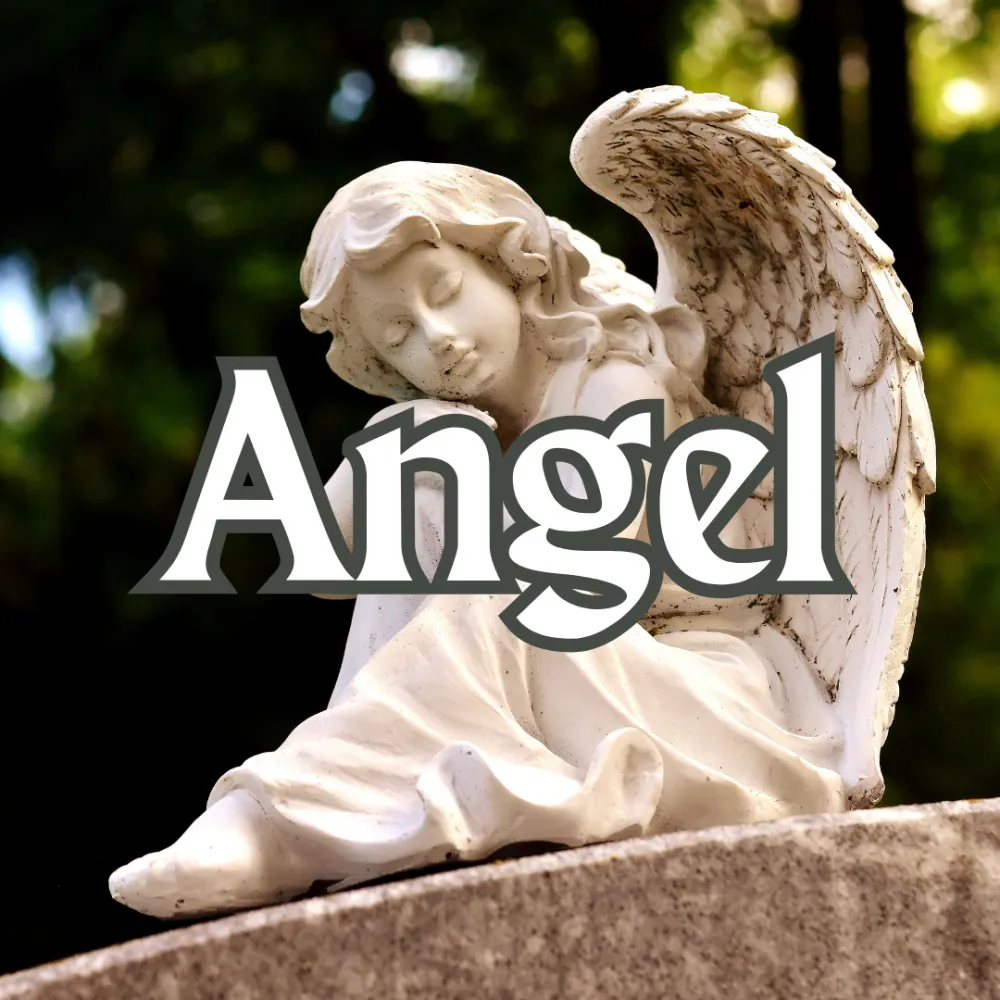 Angel Imagem