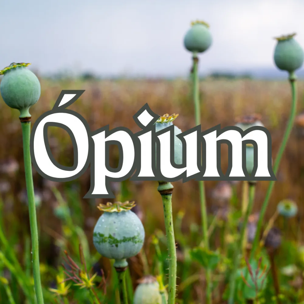 Ópium