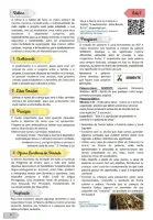 120  Planos de Aula para Reforço Escolar e Ensino Bíblico - 3 a 6 anos - Foto 6