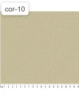 TECIDO CALDEIRA POÁ BEGE COR 10 