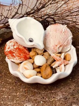 Mine Fonte ostra marinha