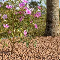 Argila Expandida Miúda - 50 Litros - Foto 3
