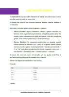 830 - Inglês - Classes de Palavras - Substantivos -  6º ano - PDF com 25 páginas - Foto 2