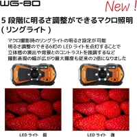 Ricoh WG-80 Orange Waterproof Digital Camera Shockproof Freezeproof Crushproof (International Version) - Foto 3