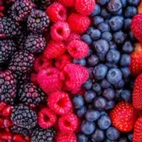 Colágeno Premium Frutas Vermelhas Grow - Foto 4