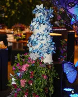 BORBOLETA QUE VOA (com motor) cabo curto - Foto 8