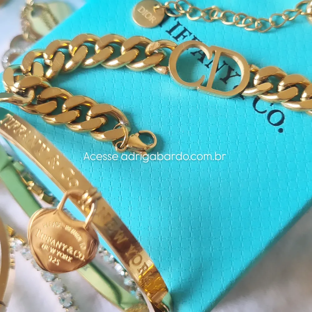 Bracelete Elos CD 
