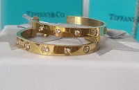 Brinco Argola Love Cartier. 