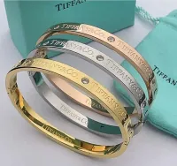 Pulseira Tiffany&Co Ponto de Luz. 