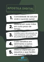 Apostila CONAB 2025 Analista Letras - Foto 3