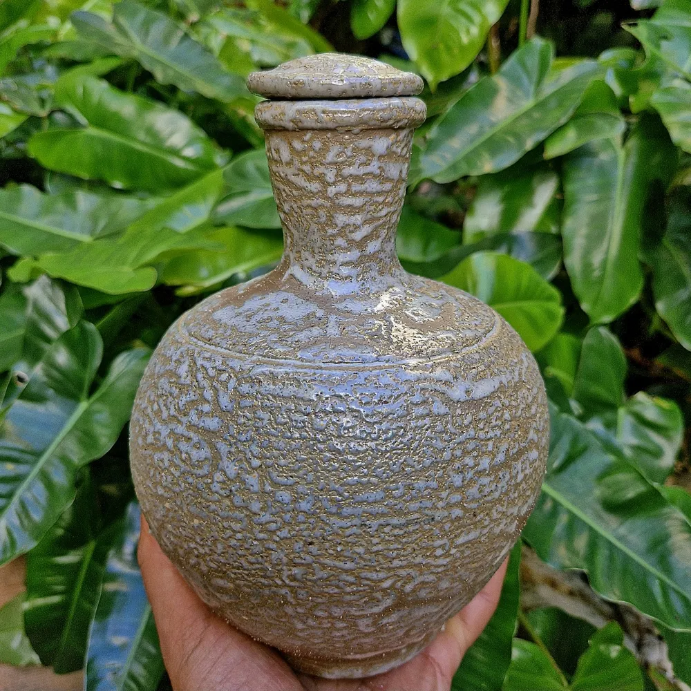 Moringa 'Aqua' (15x19,5cm) Imagem