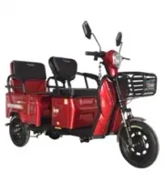 Triciclo Eletrico 1000w c/2 bancos  2026 - Foto 4