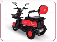 TRICICLO SCOOTER ELETRICA SIDNEI 1000W 2025  - Foto 2