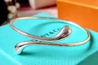 Bracelete Tiffany&Co Elongated  - Foto 4