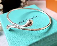 Bracelete Tiffany&Co Elongated  - Foto 6