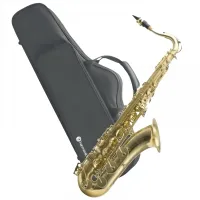 SAX TENOR HARMONICS BB HTS-100 L - Foto 2