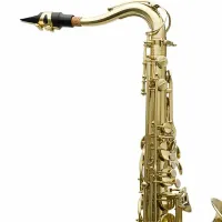 SAX TENOR HARMONICS BB HTS-100 L - Foto 3