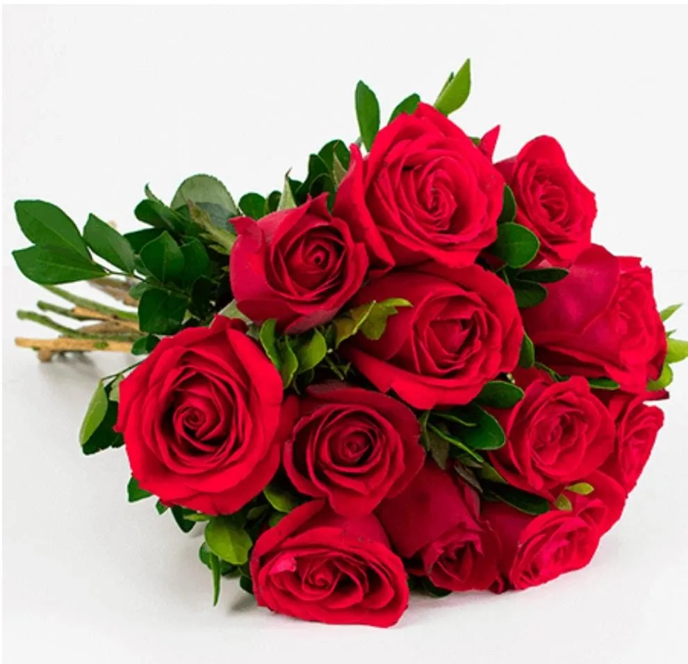  Amor Clássico 12 Rosas Importadas Imagem