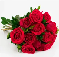  Amor Clássico 12 Rosas Importadas