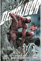 DEMOLIDOR VOL. 9 (PRODUTO USADO - COMO NOVO)