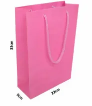 sacolas Rosa (foto) 33,0 x 22,0 x 9,0