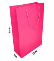 sacolas Pink (foto) 33,0 x 22,0 x 9,0 Imagem