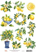 DT-017 - Adesivo Transfer Limão Siciliano - Tam. 21,0x14,8cm