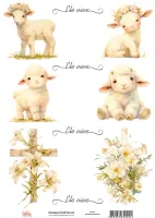 DX-020 - Adesivo Têxtil Páscoa - Tam. 21,0x14,8cm