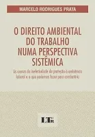 O DIREITO AMBIENTAL DO TRABALHO NUMA PERSPECTIVA SISTEMICA (PRODUTO USADO - MUITO BOM)