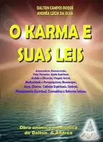 O KARMA E SUAS LEIS (PRODUTO USADO - MUITO BOM)