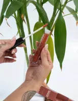 Lip gloss Brown Glow- Lady Beauty - Foto 3