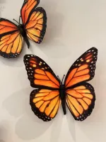 BORBOLETAS MÁGICAS 3D - Foto 7