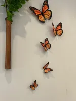 BORBOLETAS MÁGICAS 3D